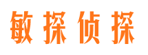 西双版纳市调查公司